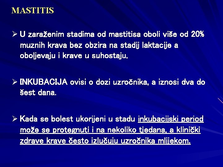 MASTITIS Ø U zaraženim stadima od mastitisa oboli više od 20% muznih krava bez