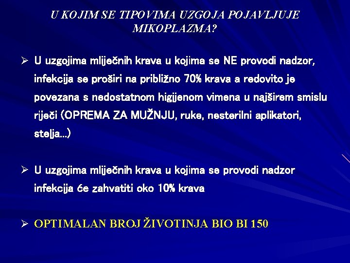 U KOJIM SE TIPOVIMA UZGOJA POJAVLJUJE MIKOPLAZMA? Ø U uzgojima mliječnih krava u kojima