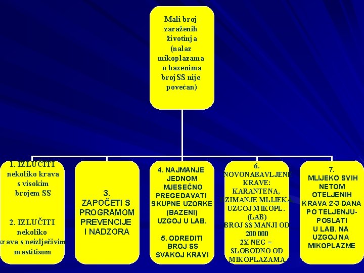 Mali broj zaraženih životinja (nalaz mikoplazama u bazenima broj. SS nije povećan) 1. IZLUČITI