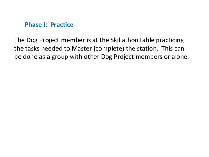 Phase I: Practice The Dog Project member is at the Skillathon table practicing the