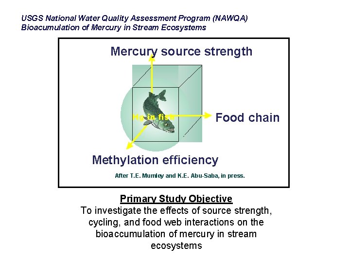 USGS National Water Quality Assessment Program (NAWQA) Bioacumulation of Mercury in Stream Ecosystems Mercury