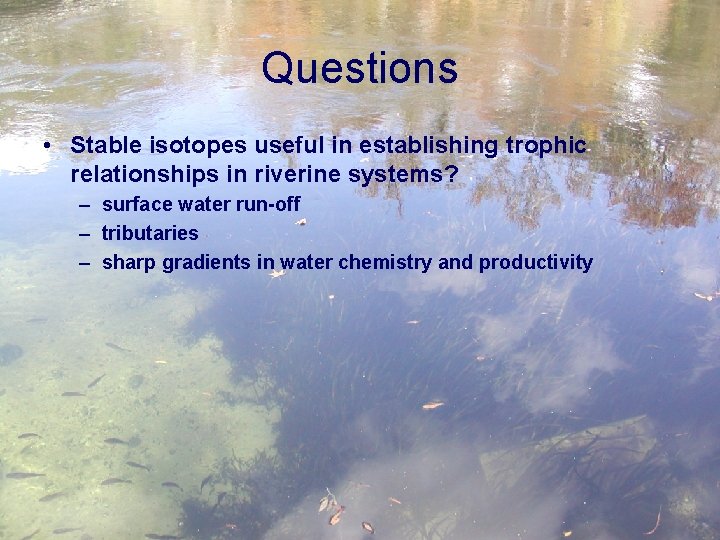 Questions • Stable isotopes useful in establishing trophic relationships in riverine systems? – surface
