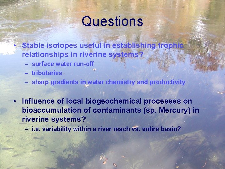 Questions • Stable isotopes useful in establishing trophic relationships in riverine systems? – surface