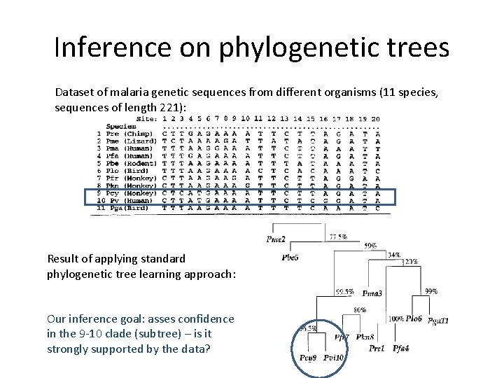Inference on phylogenetic trees Dataset of malaria genetic sequences from different organisms (11 species,