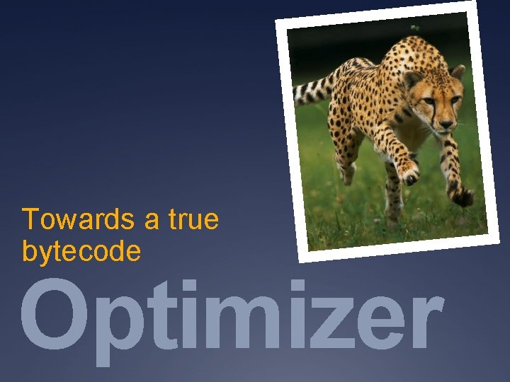 Towards a true bytecode Optimizer 