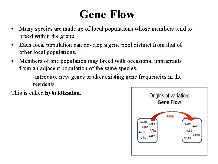 Gene Flow • Many species are made up of local populations whose members tend