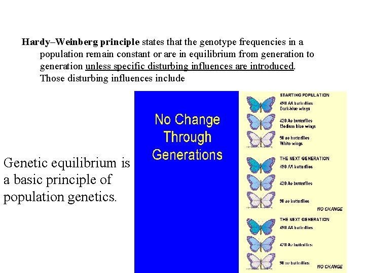 Hardy–Weinberg principle states that the genotype frequencies in a population remain constant or are