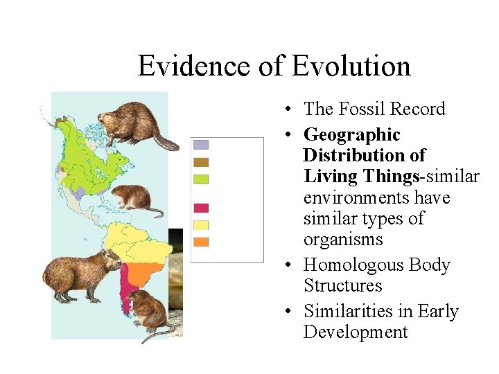 Evidence of Evolution • The Fossil Record • Geographic Distribution of Living Things-similar environments
