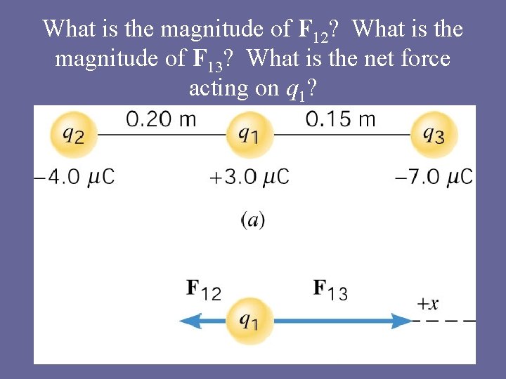 What is the magnitude of F 12? What is the magnitude of F 13? What is the magnitude of F 12? What is the magnitude of F 13?