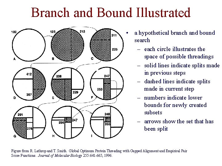 Branch and Bound Illustrated • a hypothetical branch and bound search – each circle