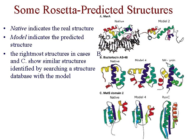 Some Rosetta-Predicted Structures • Native indicates the real structure • Model indicates the predicted