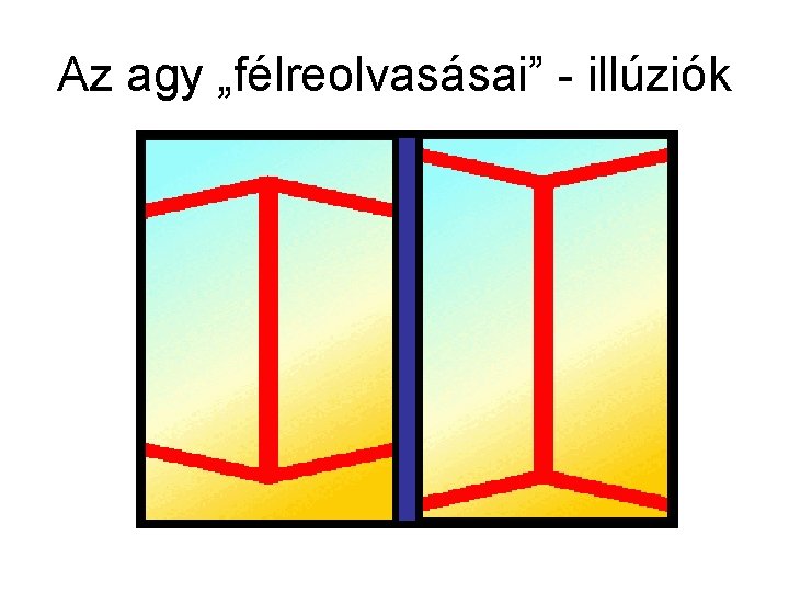 Az agy „félreolvasásai” - illúziók 