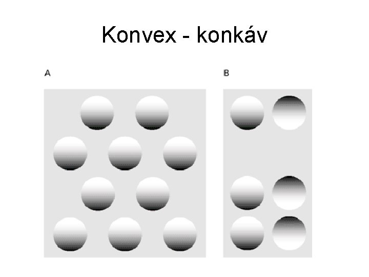 Konvex - konkáv 