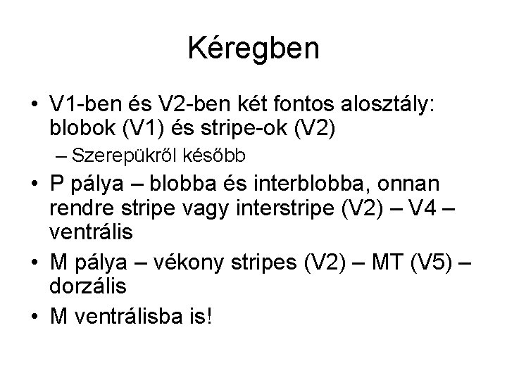 Kéregben • V 1 -ben és V 2 -ben két fontos alosztály: blobok (V