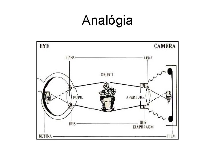 Analógia 