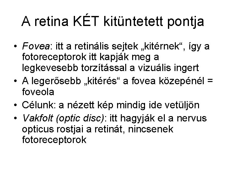 A retina KÉT kitüntetett pontja • Fovea: itt a retinális sejtek „kitérnek“, így a