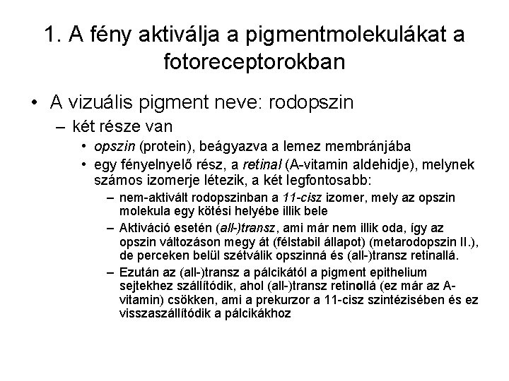 1. A fény aktiválja a pigmentmolekulákat a fotoreceptorokban • A vizuális pigment neve: rodopszin