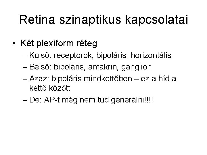 Retina szinaptikus kapcsolatai • Két plexiform réteg – Külső: receptorok, bipoláris, horizontális – Belső: