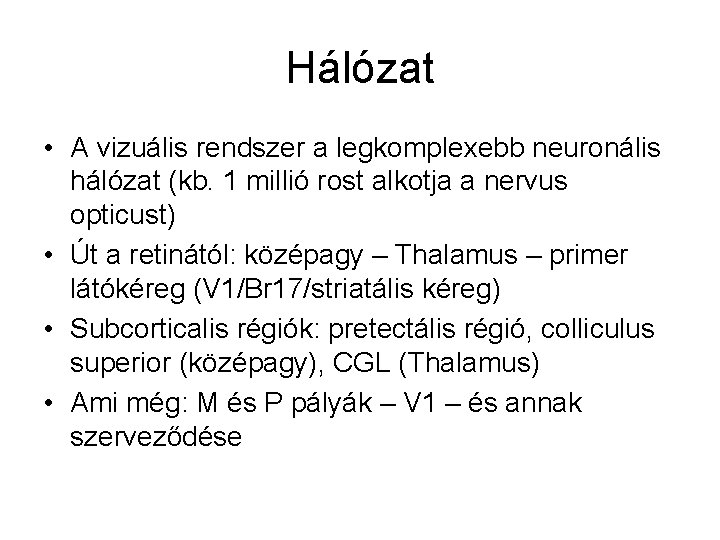 Hálózat • A vizuális rendszer a legkomplexebb neuronális hálózat (kb. 1 millió rost alkotja