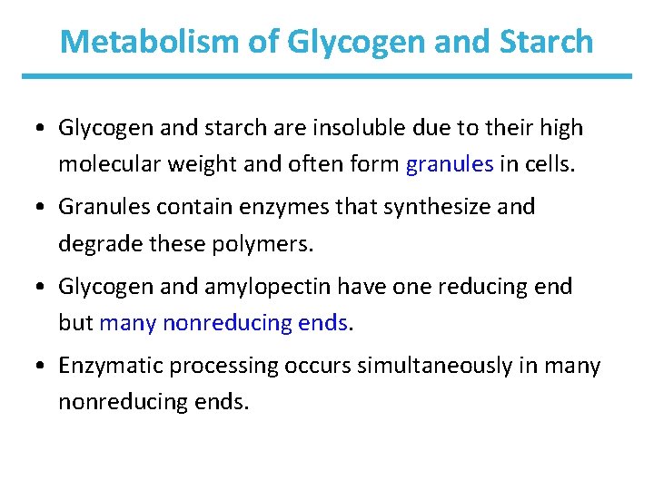 Metabolism of Glycogen and Starch • Glycogen and starch are insoluble due to their