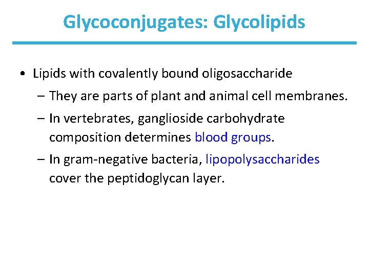Glycoconjugates: Glycolipids • Lipids with covalently bound oligosaccharide – They are parts of plant