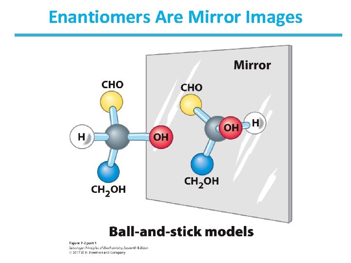 Enantiomers Are Mirror Images 