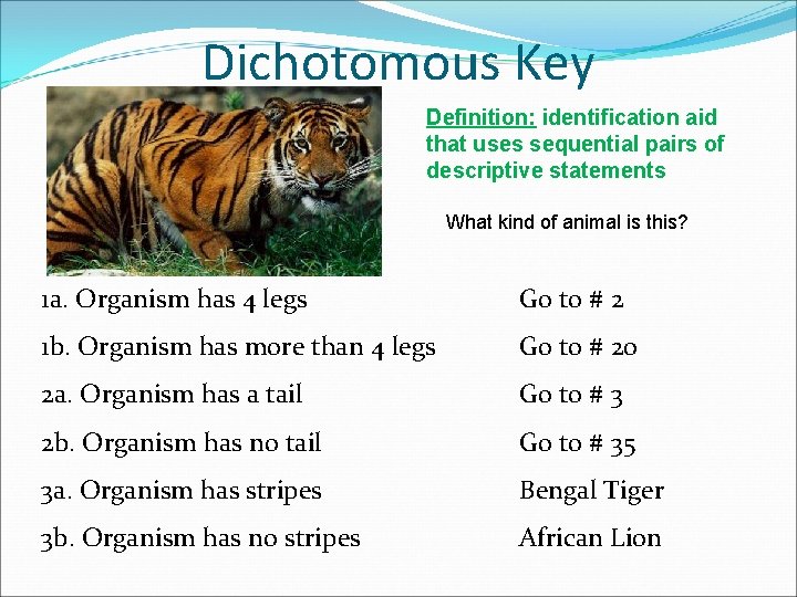 Dichotomous Key Definition: identification aid that uses sequential pairs of descriptive statements What kind