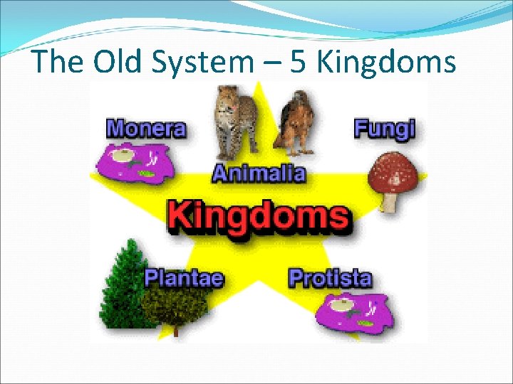 The Old System – 5 Kingdoms 