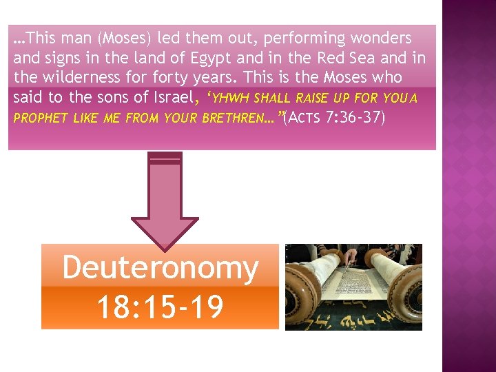 …This man (Moses) led them out, performing wonders and signs in the land of