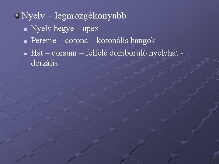 Nyelv – legmozgékonyabb n n n Nyelv hegye – apex Pereme – corona – Nyelv – legmozgékonyabb n n n Nyelv hegye – apex Pereme – corona –