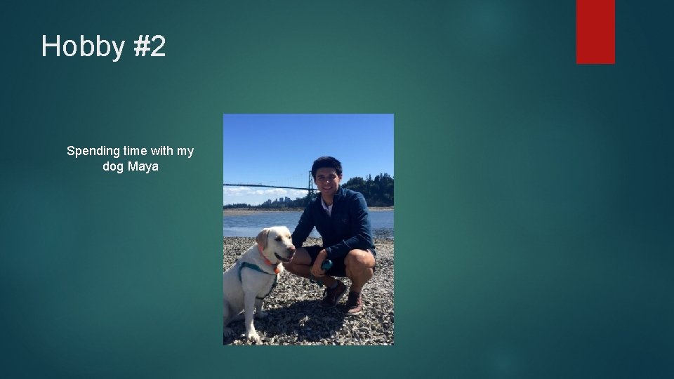 Hobby #2 Spending time with my dog Maya 