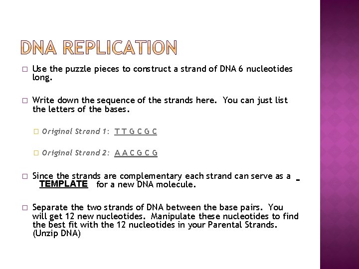 � Use the puzzle pieces to construct a strand of DNA 6 nucleotides long.