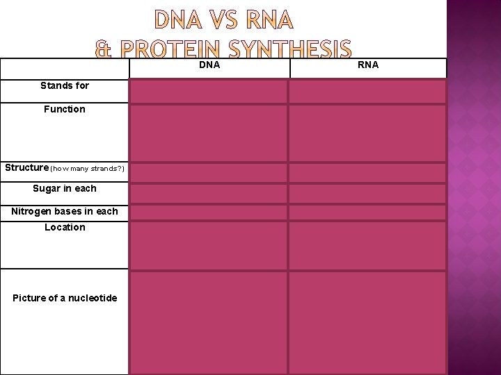 DNA RNA Stands for DEOXYRIBONUCLEIC ACID Function STORES GENETIC INFORMATION & HAS CODE FOR