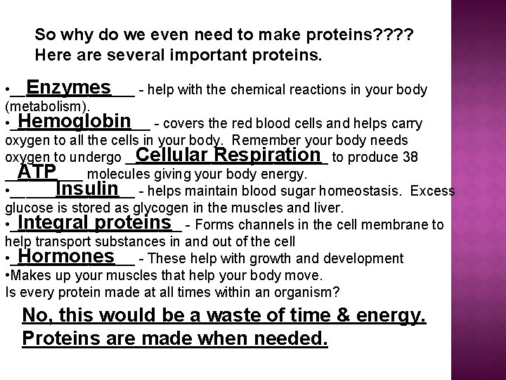 So why do we even need to make proteins? ? Here are several important