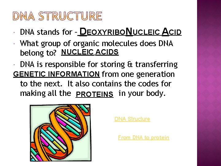 DNA stands for – DEOXYRIBONUCLEIC ACID What group of organic molecules does DNA belong