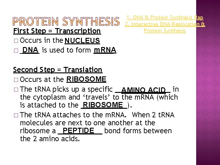 First Step = Transcription � Occurs in the NUCLEUS � DNA is used to