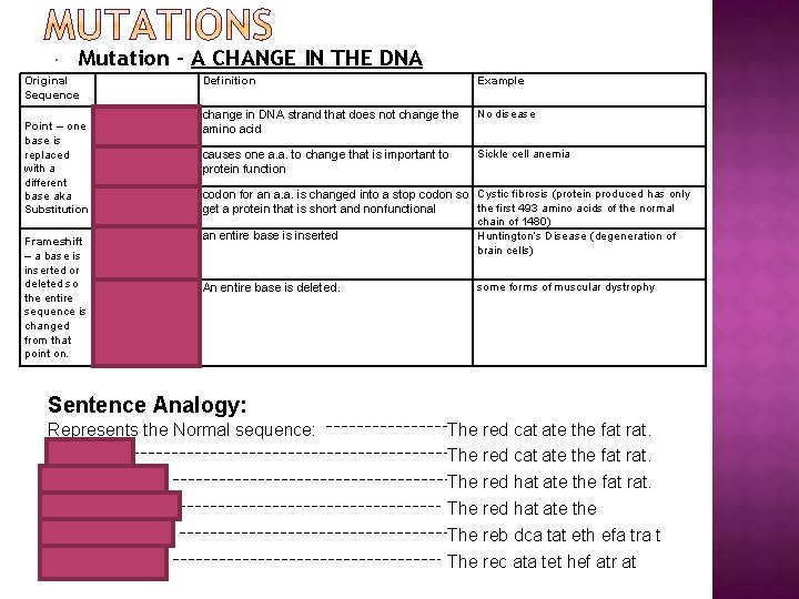  Mutation – A CHANGE IN THE DNA Original Sequence Point – one base