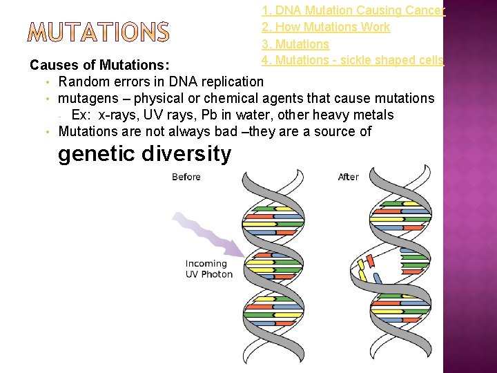 1. DNA Mutation Causing Cancer 2. How Mutations Work 3. Mutations 4. Mutations -