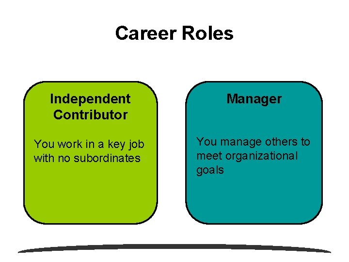 Career Roles Independent Contributor Manager You work in a key job with no subordinates