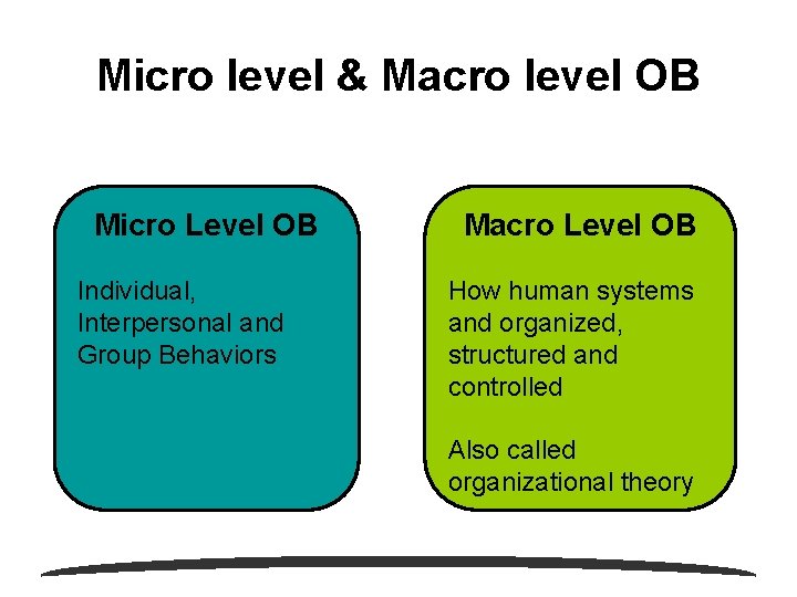 Micro level & Macro level OB Micro Level OB Individual, Interpersonal and Group Behaviors