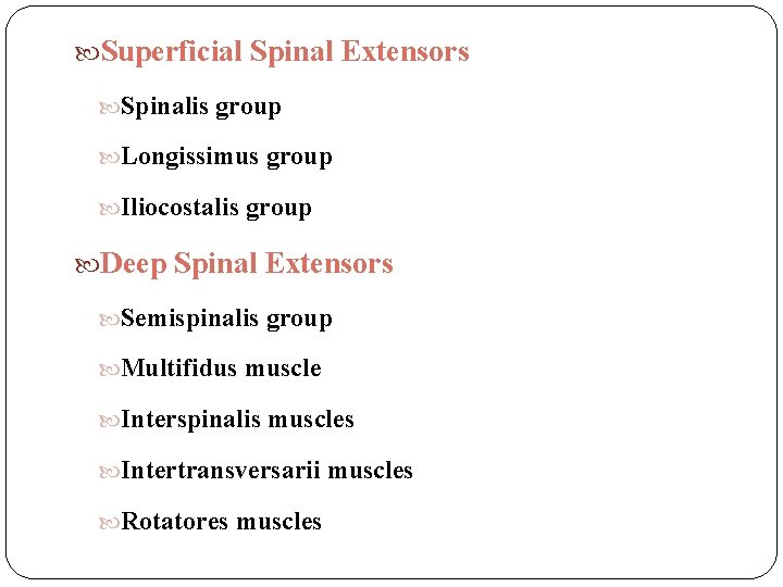  Superficial Spinal Extensors Spinalis group Longissimus group Iliocostalis group Deep Spinal Extensors Semispinalis