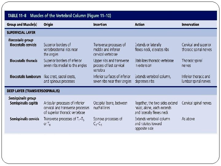 [INSERT Table. 11. 8 (middle portion)] 
