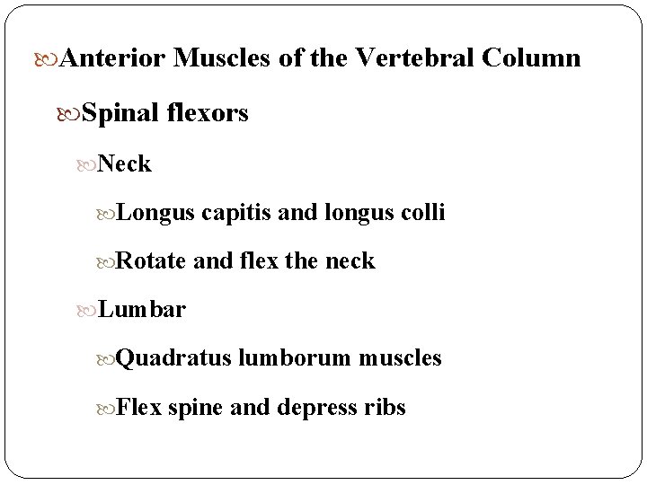  Anterior Muscles of the Vertebral Column Spinal flexors Neck Longus Rotate capitis and