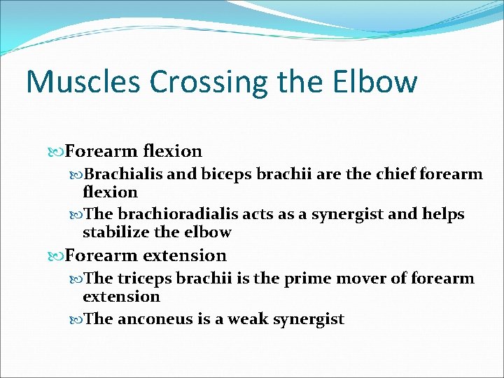 Muscles Crossing the Elbow Forearm flexion Brachialis and biceps brachii are the chief forearm