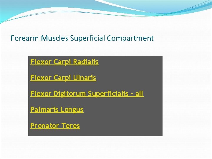 Forearm Muscles Superficial Compartment Flexor Carpi Radialis Flexor Carpi Ulnaris Flexor Digitorum Superficialis -