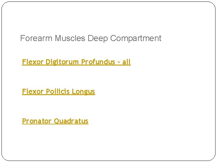 Forearm Muscles Deep Compartment Flexor Digitorum Profundus - all Flexor Pollicis Longus Pronator Quadratus