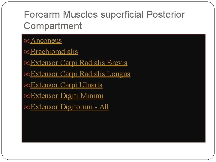 Forearm Muscles superficial Posterior Compartment Anconeus Brachioradialis Extensor Carpi Radialis Brevis Extensor Carpi Radialis