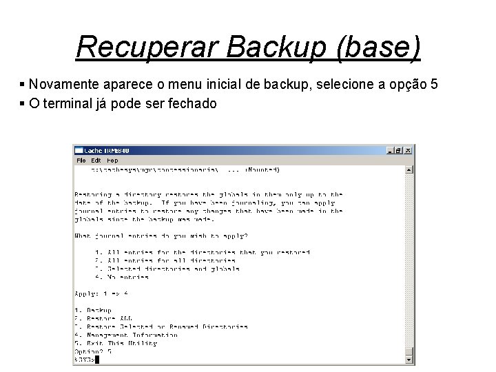 Recuperar Backup (base) § Novamente aparece o menu inicial de backup, selecione a opção