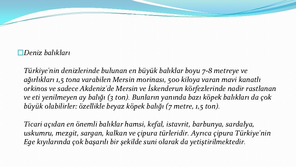 �Deniz balıkları Türkiye'nin denizlerinde bulunan en büyük balıklar boyu 7 -8 metreye ve ağırlıkları