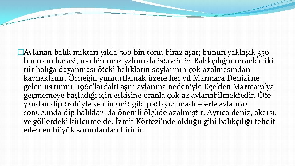 �Avlanan balık miktarı yılda 500 bin tonu biraz aşar; bunun yaklaşık 350 bin tonu